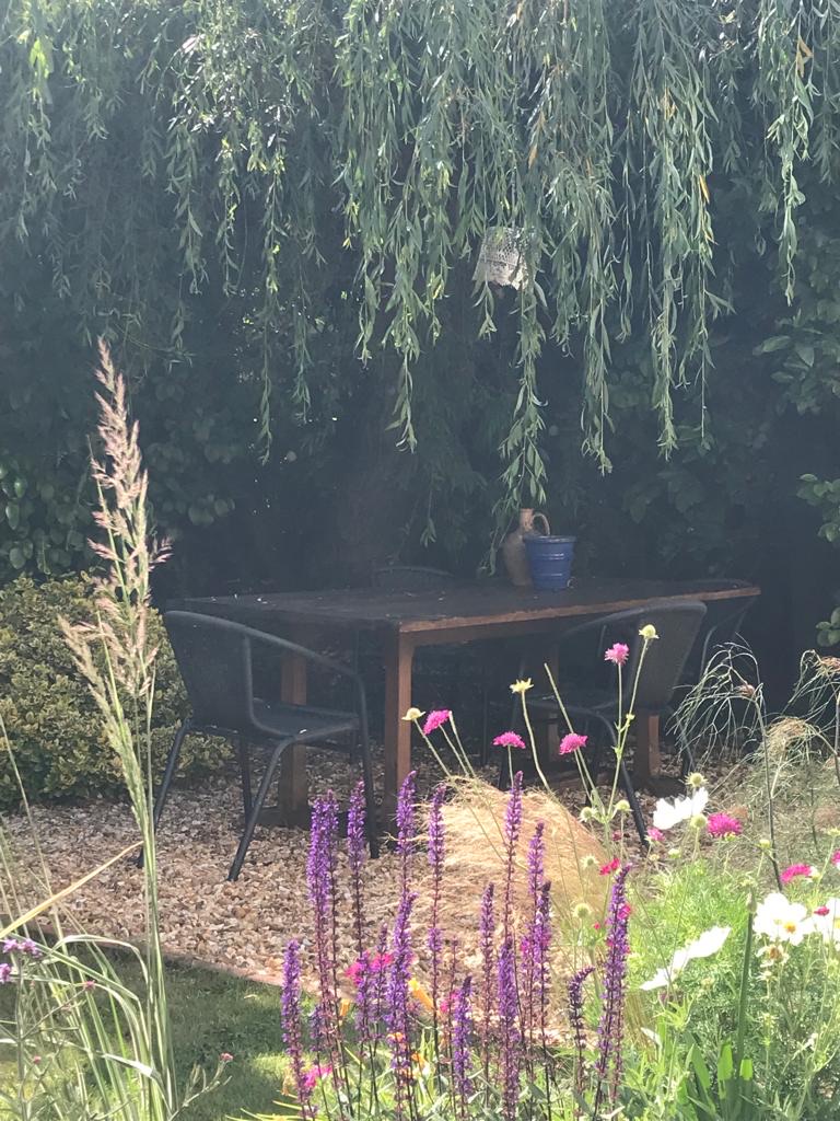 Emma S. garden — photograph 2