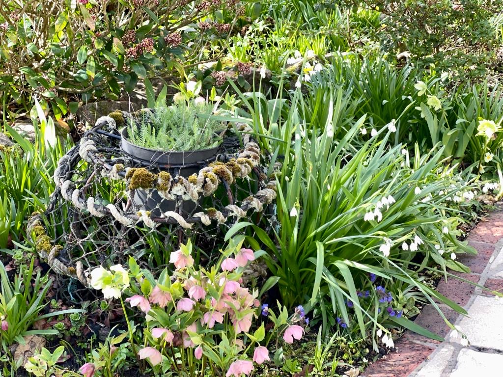 Vicky and Simon F. garden — photograph 3