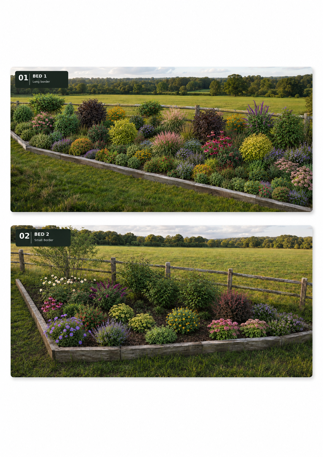 Country borders — late-summer planting. Two planting visualisations showing layered shrubs, grasses and flowering perennials against a rural backdrop.