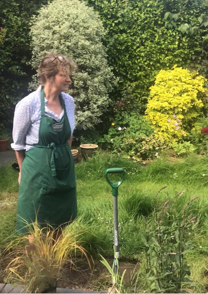Garden consultation — Borders and Blooms